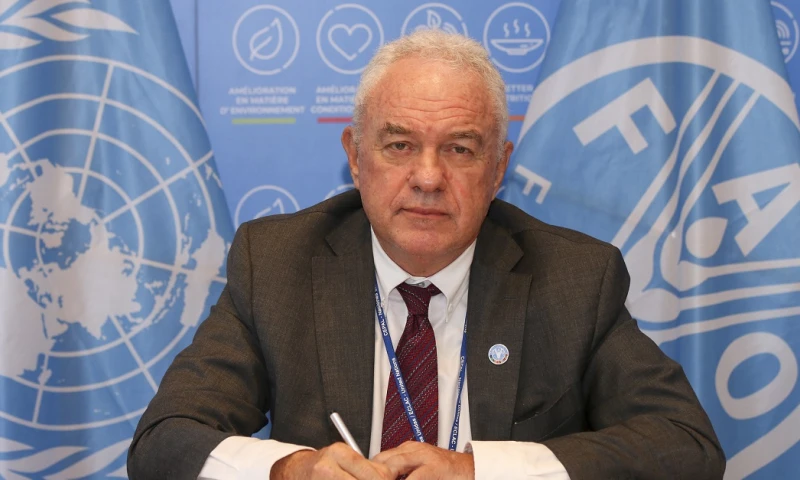 El 13 % de los alimentos del mundo se pierde en la cadena de suministro y otro 17 % se desperdicia en los hogares, servicios de alimentos y el comercio minorista/ Foto: cortesía FAO