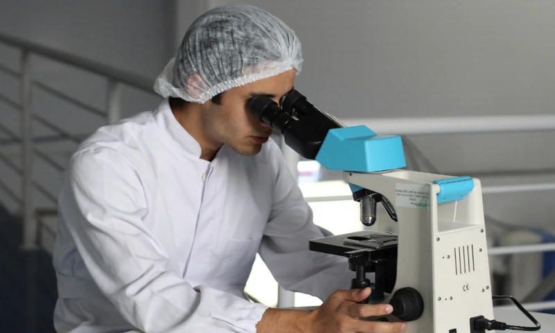 Se trata del "Gloeocystidiellum lojanense", un "hongo resupinado y corticioide con potencial antibacteriano contra Escherichia coli" / Foto: Pixabay