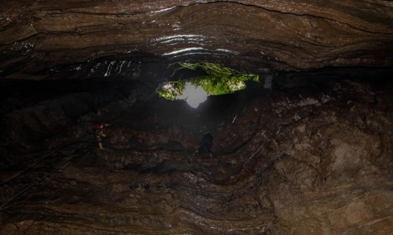 La cueva alberga además especies endémicas poco estudiadas, tanto microscópicas como animales / Foto: El Oriente