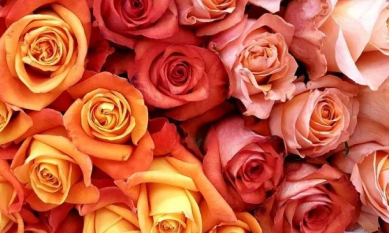 Principales noticias de Ecuador hoy - 11 de septiembre de 2025 / Foto: cortesía Ministerio de Producción