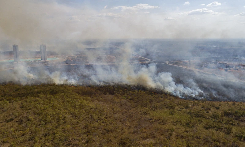 De acuerdo con los datos del sistema de alertas de deforestación del Inpe, el mes pasado fueron devastados 322 kilómetros cuadrados de vegetación nativa / Foto: EFE