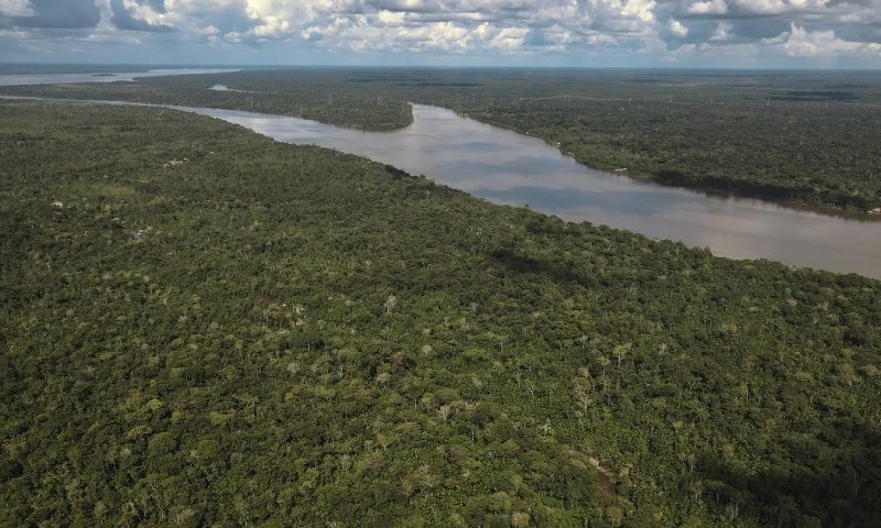 Con sus siete millones de kilómetros cuadrados, la Amazonía es el área de mayor biodiversidad del planeta y la principal reserva hídrica del mundo / Foto: EFE