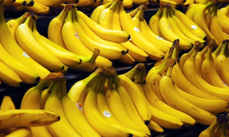 La AEBE informó que el crecimiento se concentró principalmente en mercados específicos / Foto: cortesía