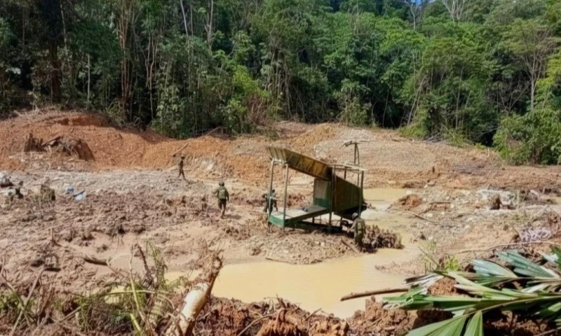 Durante el operativo, las fuerzas militares realizaron un exhaustivo rastrillaje del área / Foto: cortesía FF.AA.