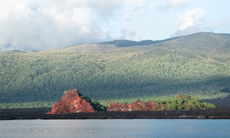 Principales noticias de Ecuador hoy - 1 de noviembre de 2023 / Foto: cortesía Fundación Charles Darwin 