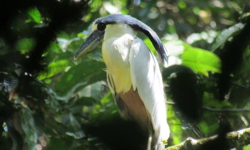 El territorio protegido abarca más de 1.300 hectáreas / Foto: cortesía Gobierno Perú
