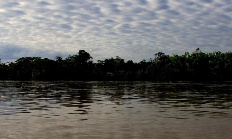 La denuncia fue presentada por dos guardaparques ante el MAE y la Arcom / Foto: cortesía