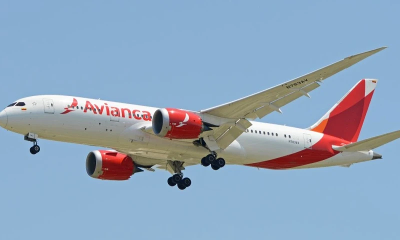 En total la aerolínea sumará 12 nuevas operaciones semanales hacia EE.UU.  / Foto: cortesía