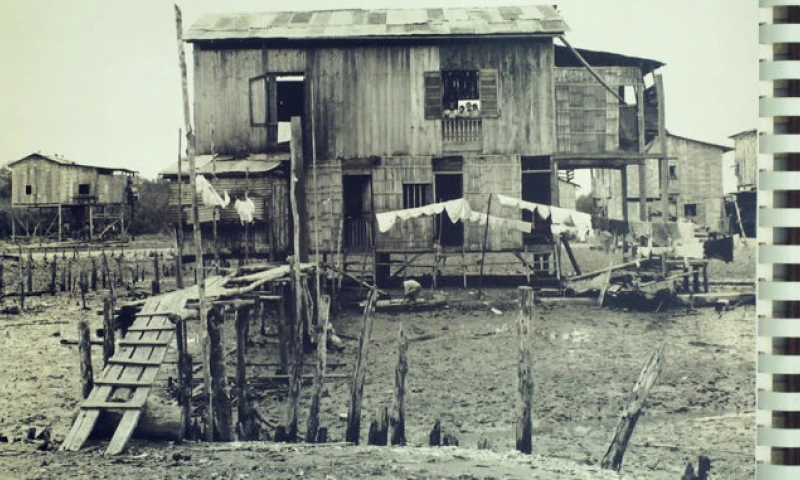 Una casa de caña en la provincia de El Oro después de la invasión peruana: la Dra. Monica Rankin dijo que la foto de los archivos de la Biblioteca Presidencial Franklin D. Roosevelt, no solo muestra la destrucción que dejó la guerra sino que la pobreza y el subdesarrollo siempre fueron un problema en la provincia.