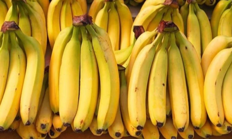 De enero a noviembre, las exportaciones en el sector agrícola y agroindustrial tuvieron un crecimiento del 21 % / Foto: cortesía Camae