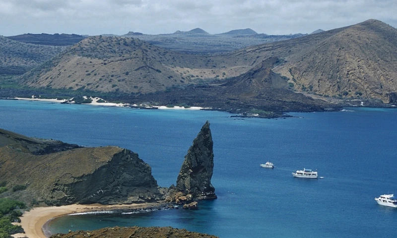 El objetivo es documentar los problemas que enfrenta el ecosistema del archipiélago ecuatoriano / Foto: EFE