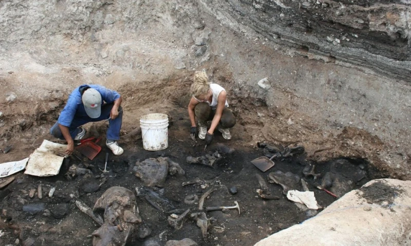 Este animal alcanzaba los 6 metros de alto y las 5 toneladas de peso/ Foto: Cortesía Syfy