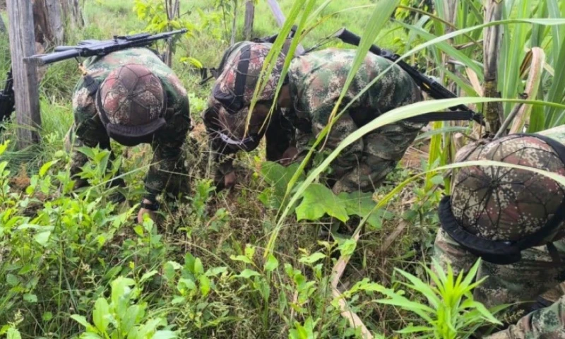 Los pliegos exigen que el glifosato tenga una concentración de 480 gramos por litro / Foto: cortesía Fuerzas Militares de Colombia