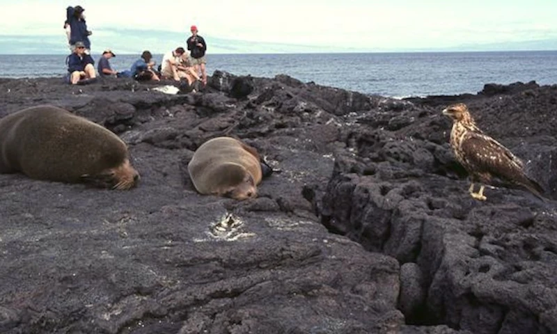 Galápagos recibió en la primera mitad de 2022 casi tantos turistas como todo 2021 / Foto: EFE
