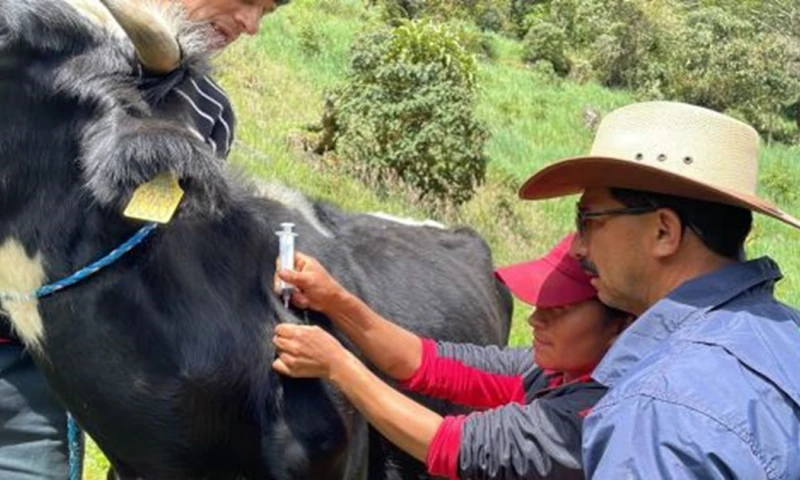 86 productores participaron del taller sobre productos veterinarios./ Foto: cortesía MAG