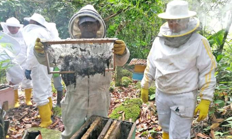 INSTRUCCIÓN. Funcionarios del MAG durante capacitación. Foto: La Hora