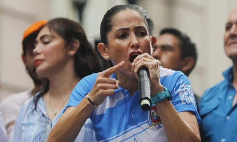 Los resultados han sido avalados por la Unión Europea y por la Organización de Estados Americanos  / Foto: EFE