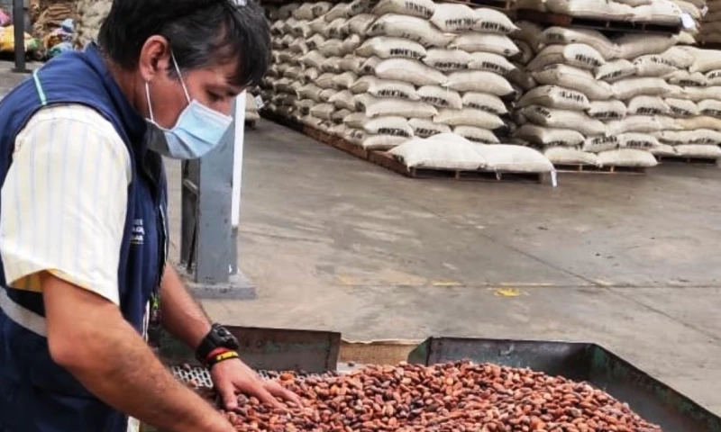 El sector agrícola y agroindustrial se consolidó como el principal motor del comercio exterior ecuatoriano / Foto: cortesía