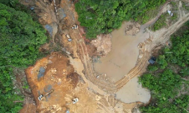 Enviaron una carta al presidente Daniel Noboa / Foto: cortesía Napo Ama la vida