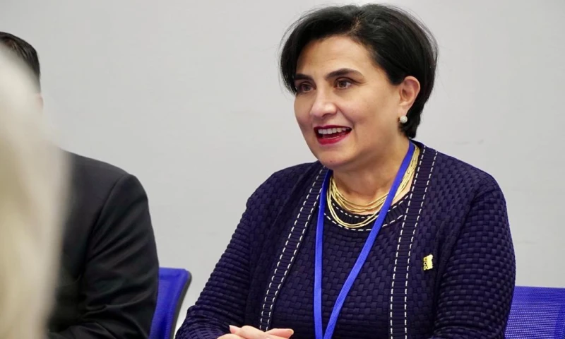 Abordaron las implicaciones globales de la delincuencia organizada transnacional / Foto: cortesía Cancillería