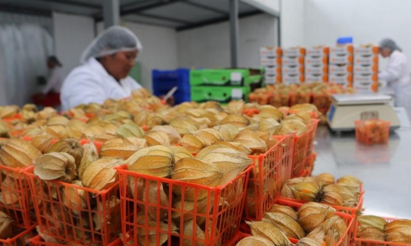 El objetivo del congreso fue fortalecer las capacidades técnicas y comerciales de la producción orgánica / Foto: cortesía Agrocalidad