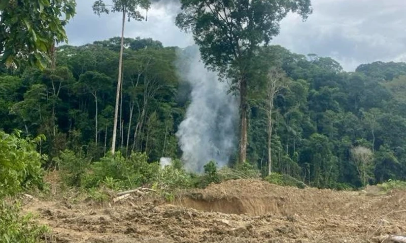 El operativo se llevó a cabo en el cantón Cascales / FotoL cortesía FF.AA.