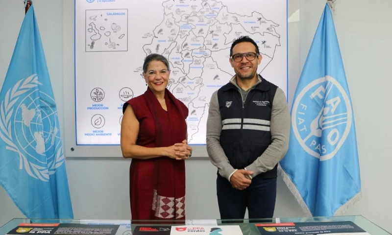 Se han reportado casos en Haití y República Dominicana/ Foto: cortesía Agrocalidad