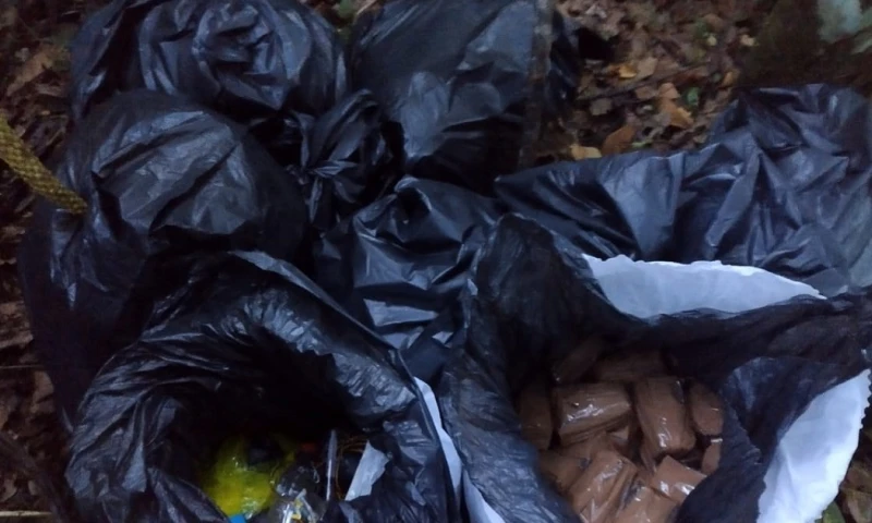 El hallazgo se produjo durante un operativo de vigilancia en Sucumbíos./ Foto: Cortesía Fuerzas Armadas