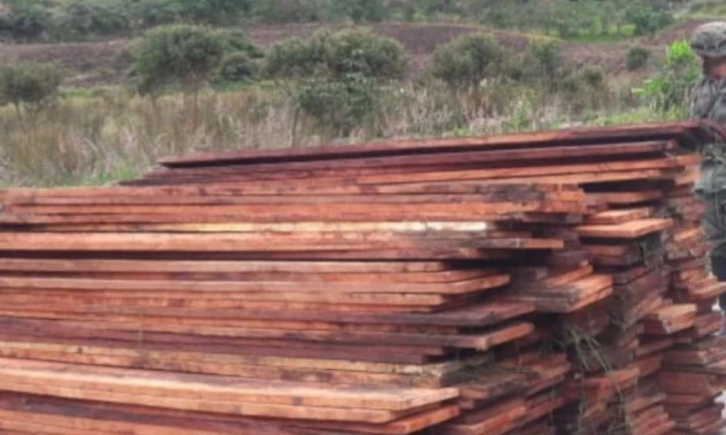 La madera fue incautada por personal de las Fuerzas Armadas. Foto: El Telégrafo