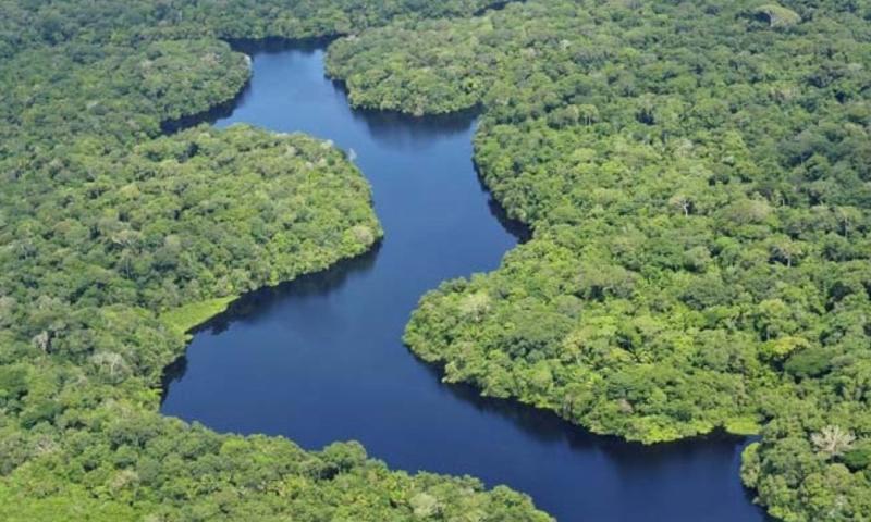 El trabajo forzado es parte integral de actividades como la deforestación, la ganadería, la minería ilegal y el tráfico de madera / Foto: cortesía Fundación Aquae