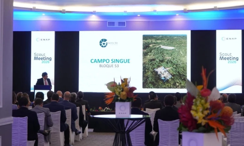 Entre las principales iniciativas destacan procesos de reacondicionamiento de pozos en el campo Mauro Dávalos Cordero por parte de ENAP / Foto: cortesía MAE