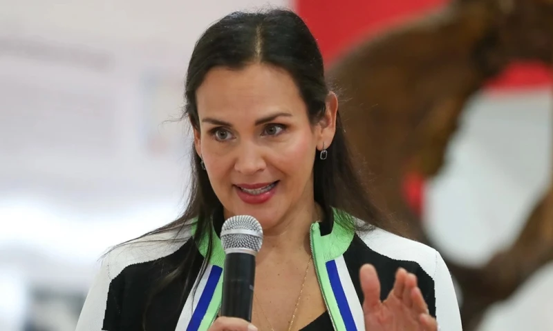 Inés Manzano reconoció que el sistema eléctrico sigue siendo vulnerable./ Foto: cortesía