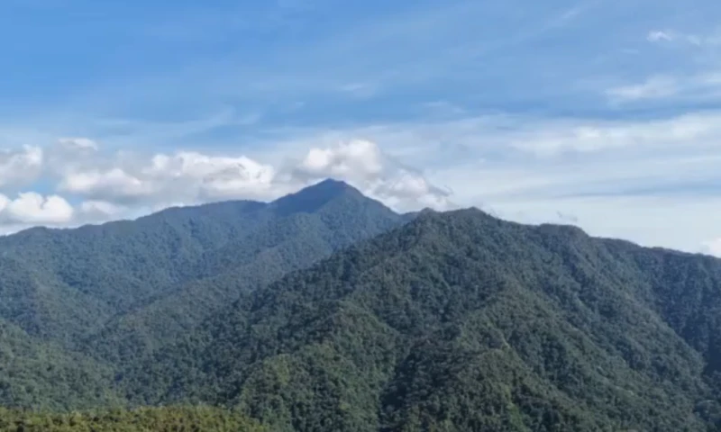 Desde la fecha de entrada en vigor, sus acciones comenzarán a cotizar en la Bolsa de Valores TSX Venture bajo el símbolo AURO / Foto: Captura de pantalla