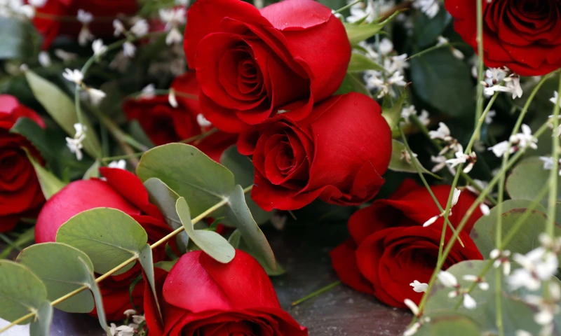 Volumen de flores exportadas desde el aeropuerto de Quito aumenta un 12,2 % / Foto: EFE