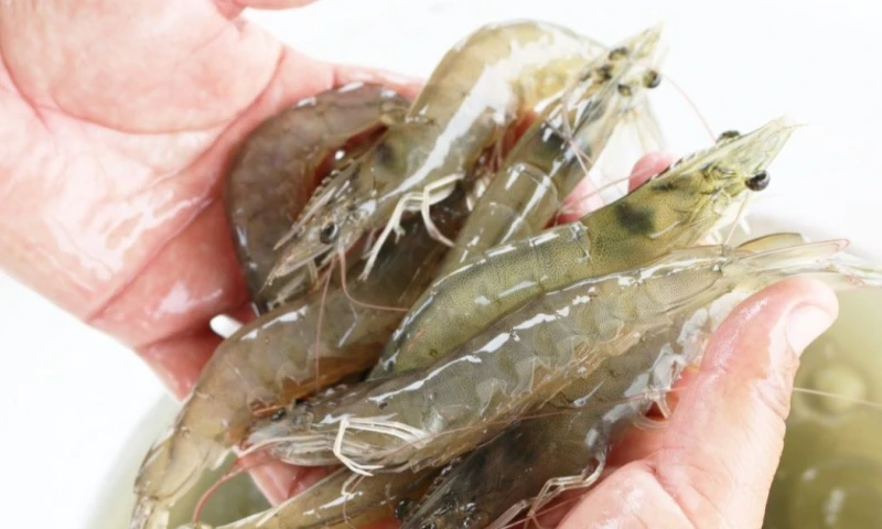 Entre los productos con mayor proyección se encuentran el camarón, el banano, el atún, las flores y el cacao / Foto: cortesía Camae