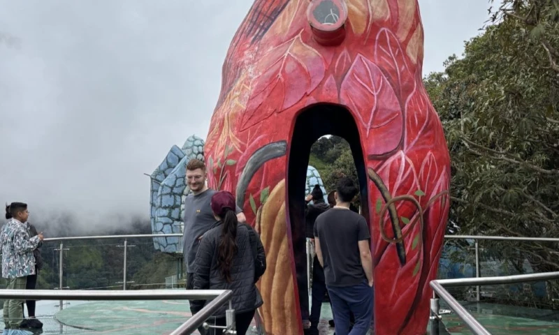  En enero de 2025, la llegada de extranjeros creció un 24 % en comparación con el mismo mes del año anterior / Foto: El Oriente