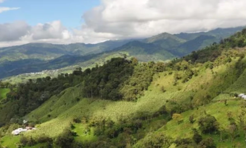La construcción está prevista para iniciar en el tercer trimestre de 2026 / Foto: cortesía La Plata Mining