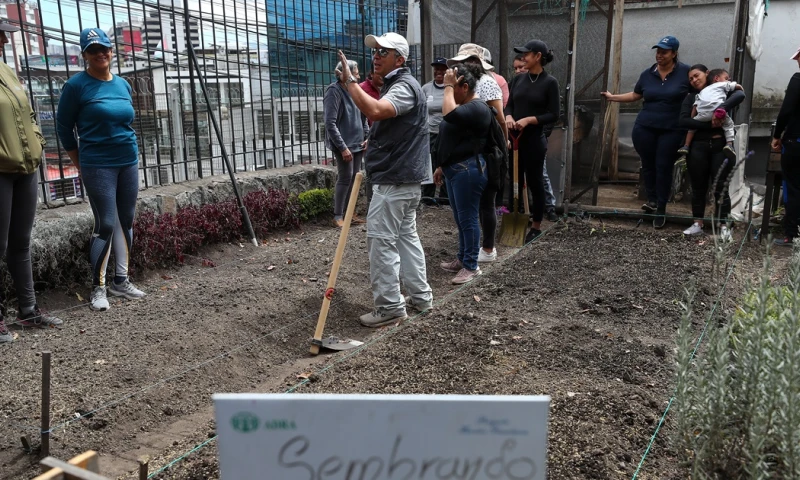 Quito es la ciudad ecuatoriana que contaría con una mayor concentración de venezolanos en Ecuador / Foto: EFE