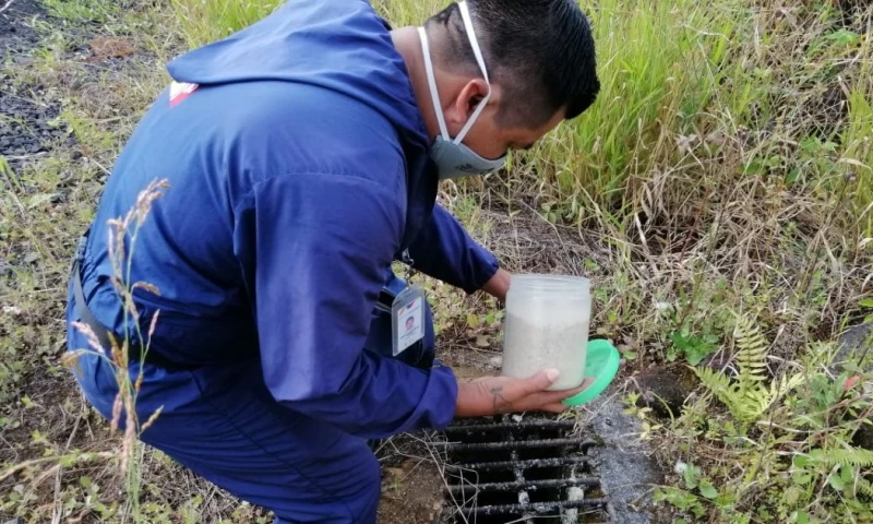 Criaderos de mosquitos causantes del Dengue son eliminados en Morona Santiago / Foto: cortesía ministerio de Salud