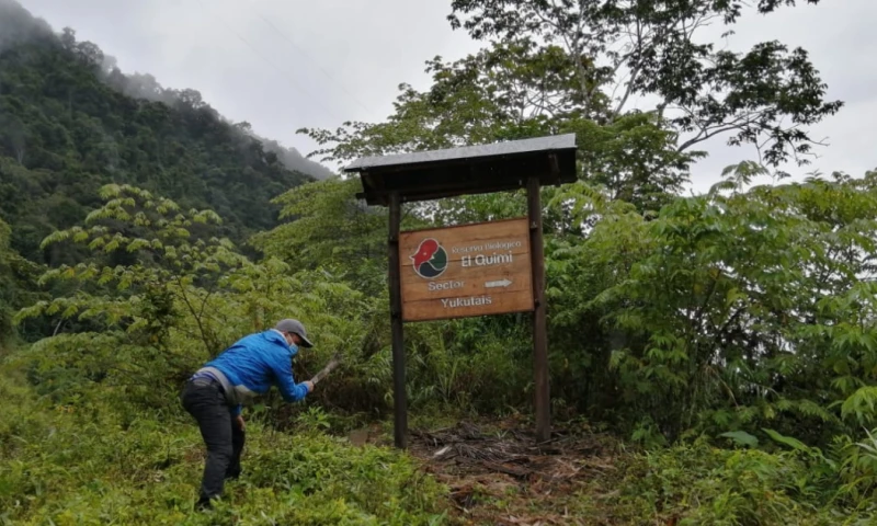 La reserva biológica está ubicada el corazón de la cordillera del Cóndor. foto: cortesía MAATE