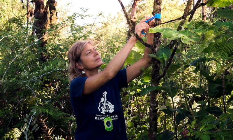 Drones rastrean plagas que amenazan vida endémica de las Islas Galápagos / Foto: EFE