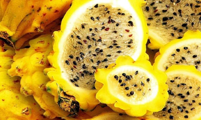 El proyecto Next Ecuador tiene la misión de generar un fuerte impacto social y económico en comunidades rurales ecuatorianas / Foto: cortesía CAMAE