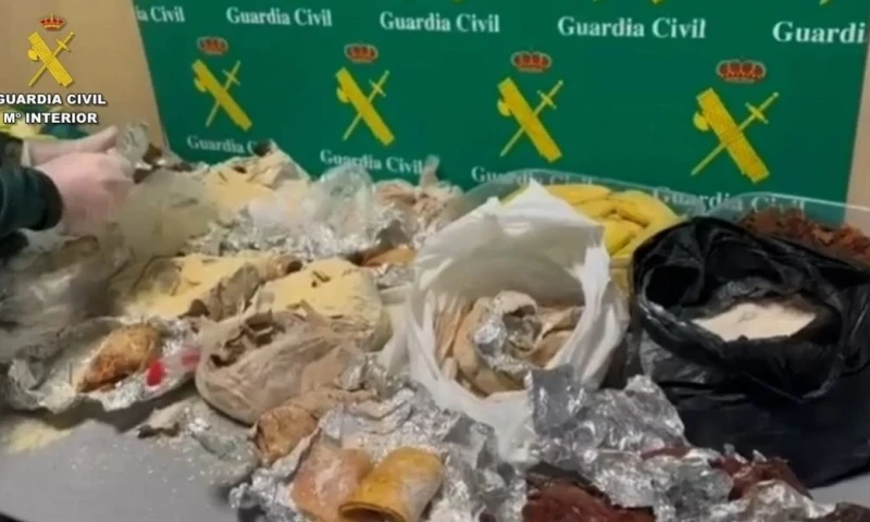 El hallazgo más relevante fue la detección de 596 unidades de medicamentos, incluidos antibióticos como la Amoxicilina / Foto: cortesía