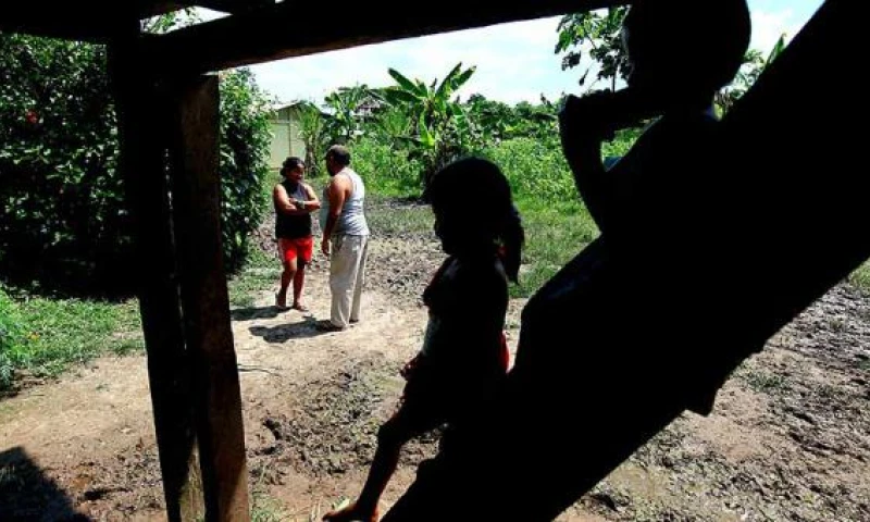 Familias enteras de la frontera norte viven de la siembra de hojas de coca. Foto: Julio Estrella / EL COMERCIO