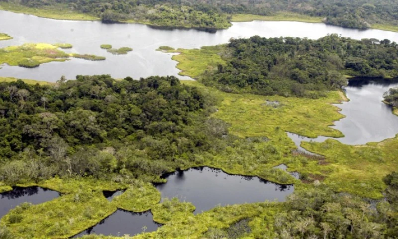 En octubre de 2013, la Asamblea aprobó y declaró de “interés nacional” la explotación petrolera en el Parque Nacional Yasuní. La oferta del Ejecutivo es que se afectaría solo el 1x1000 del parque. Es decir, las 1.035 hectáreas. Foto: Expreso