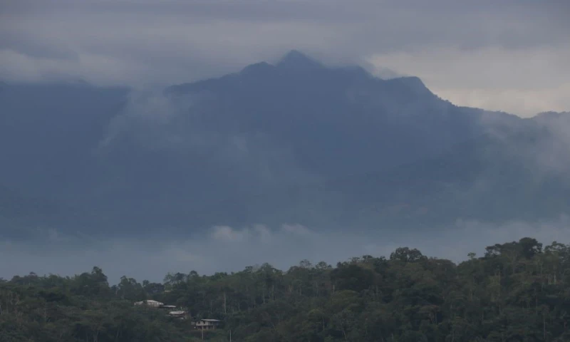 Las cifras indican que la deforestación en la provincia ocurre principalmente en el bosque natural / Foto: El Oriente