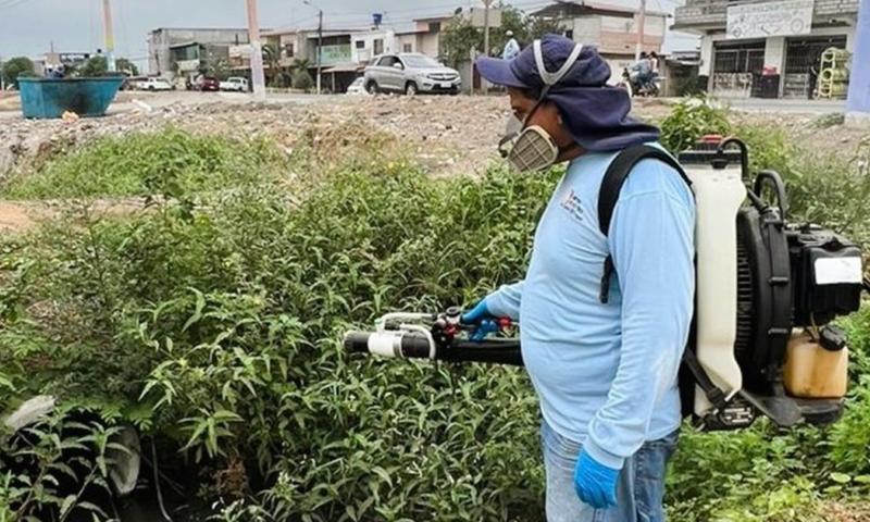 Las campañas de fumigación contra el dengue continúan a nivel nacional / Foto: cortesía Ministerio de Salud