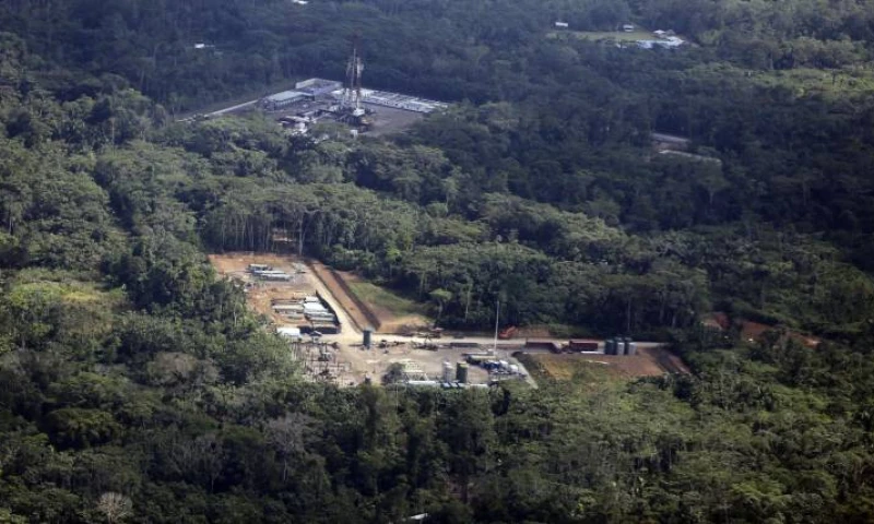 El 19 de octubre, la vicepresidente de las comunidades Huaorani, Alicia Cawiya compareció ante la Asamblea Nacional. La activista señaló que se han afectado más hectáreas de las permitidas por el Estado. Foto: Expreso