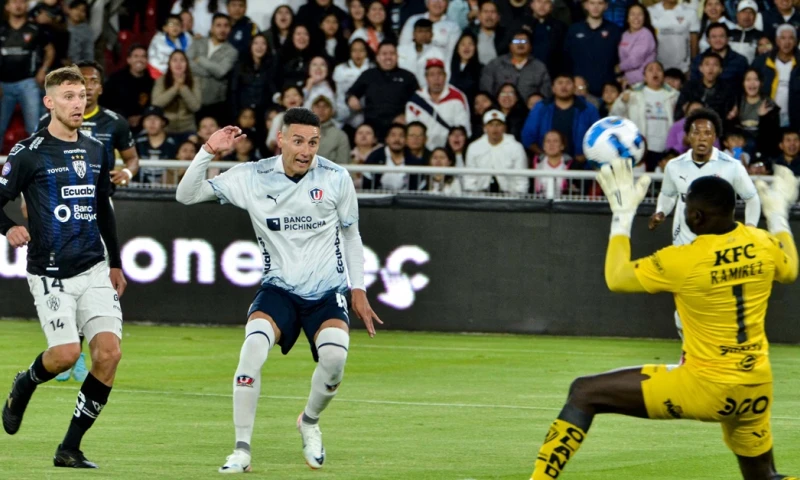 Delfín e Independiente del Valle se rezagaron en la tabla de posiciones / Foto: cortesía Liga