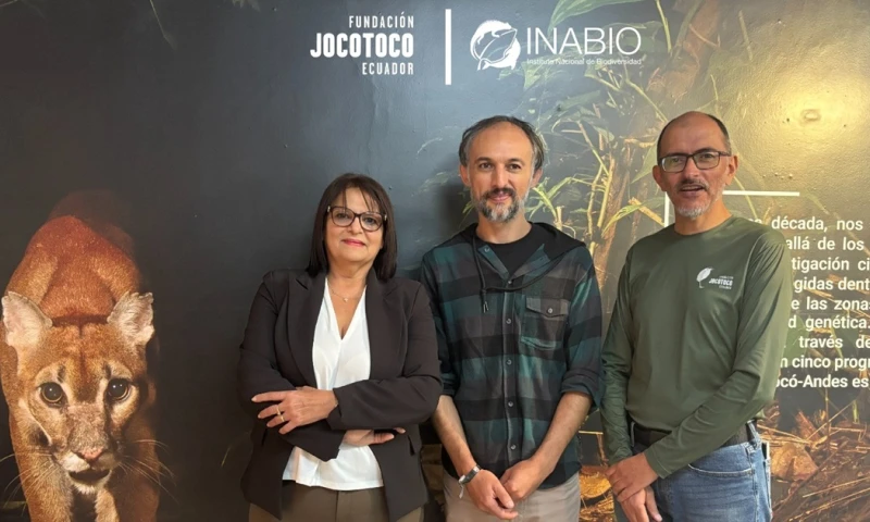 Existen aproximadamente 300 especies de plantas en una hectárea de la reserva Canandé / Foto: cortesía Jocotoco